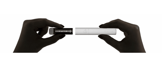 Disposable Vapes vs Refillable Vape Kits - Flawless Vape Shop