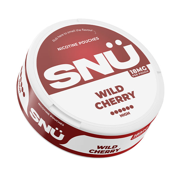 SNÜ Nicotine Pouch - Fresh Mint / 18mg - Flawless Vape Shop